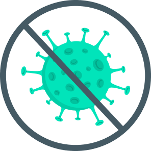 Bacteria